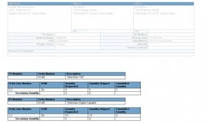 WSH Packing Slip PDF Report Output