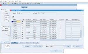 WSH Find Lines and LPNs Output